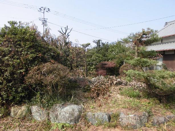 Property view 11