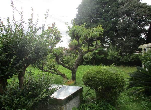 Property view 7